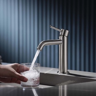 Servantbatteri Prima Lav Rustfri Børst